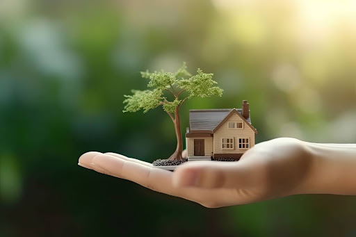 Saúde da casa. Dicas para um lar sustentável e mais econômico
