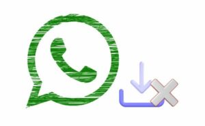 O que fazer quando o WhatsApp diz "O download falhou" - 3 soluções práticas