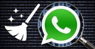 Seu celular está cheio. Como limpar o WhatsApp sem apagar as fotos da galeria - Guia Secreto